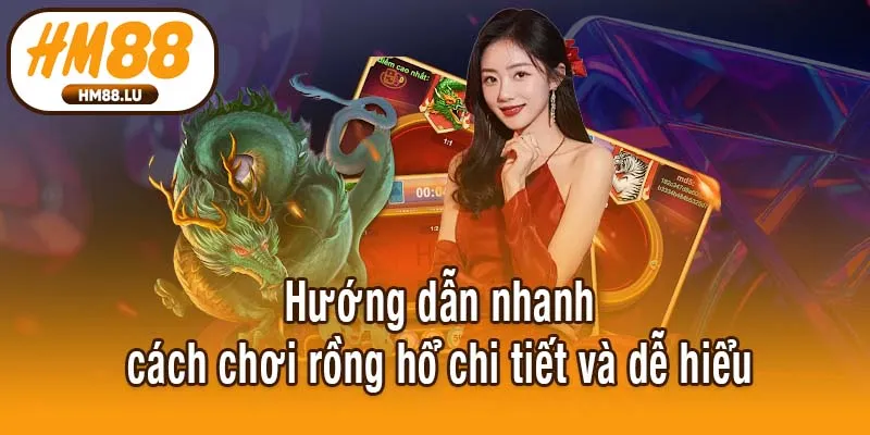 Hướng dẫn nhanh cách chơi rồng hổ chi tiết và dễ hiểu