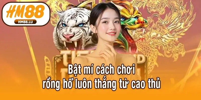 Bật mí cách chơi rồng hổ luôn thắng từ cao thủ