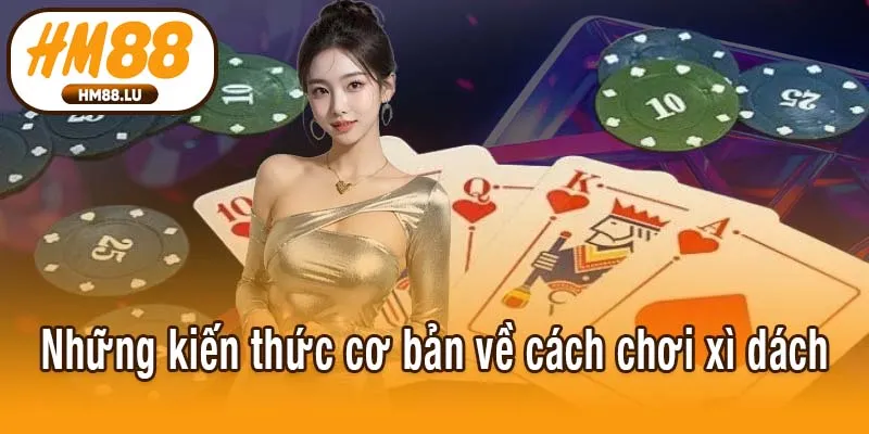 Những kiến thức cơ bản về cách chơi xì dách
